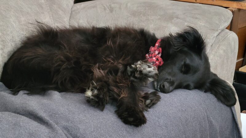 475066203_10171213334900434_1070509434052384897_n