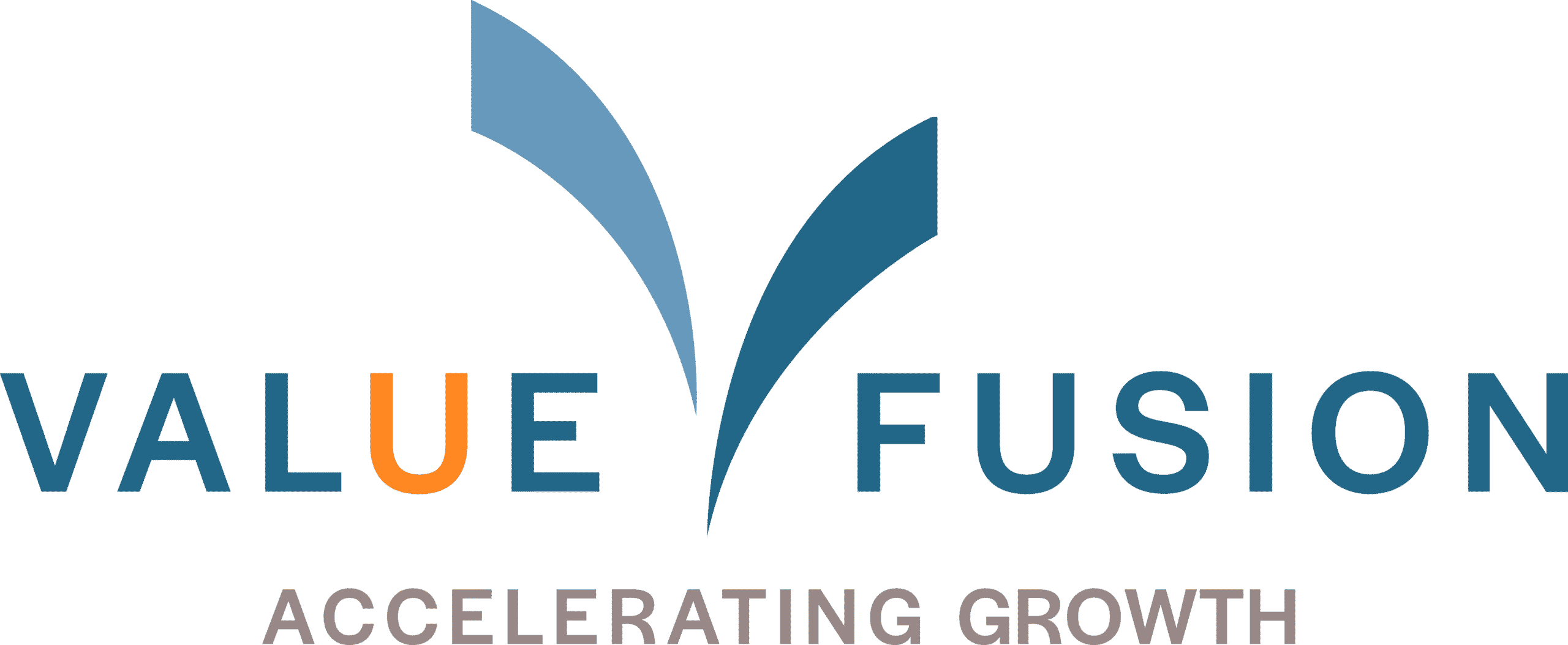 Value Fusion logo