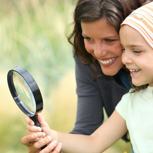 The Compassionate and Curious Behavior Analyst