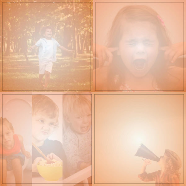 Challenging Behavior Bundle