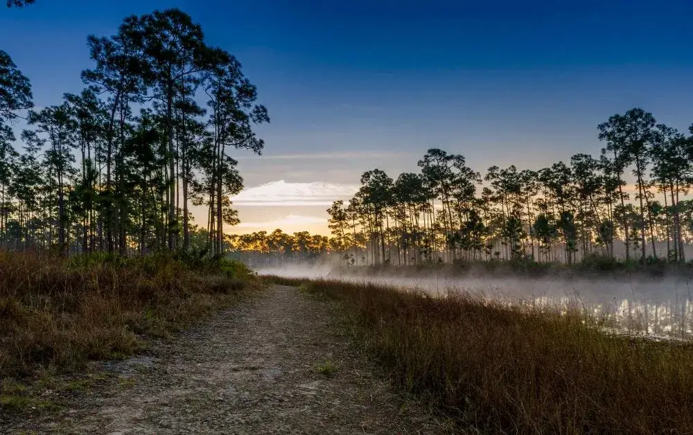 Do Better Couch to Camp 2025: The Full Circle Retreat